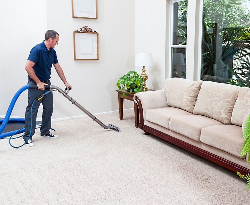 Cleaning  sector